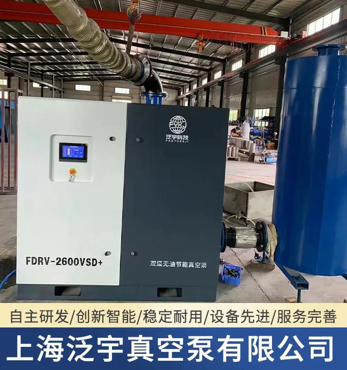 结构紧凑、高转速的微油螺杆真空泵系统及其与电动机的匹配