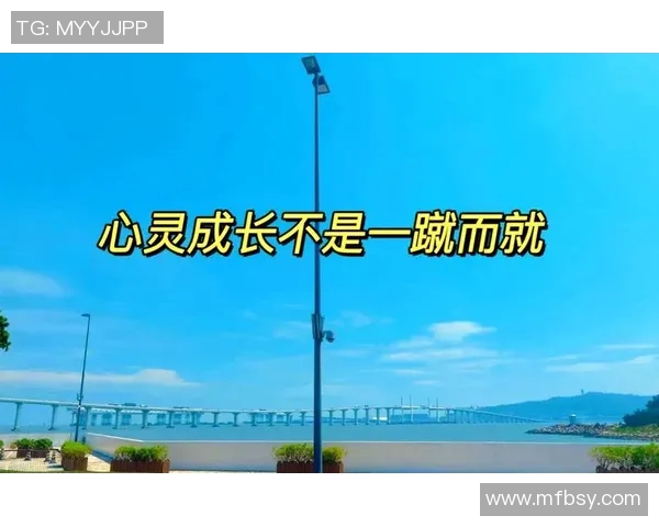 何思雨：在风雨中追寻梦想的勇敢旅程与心灵成长